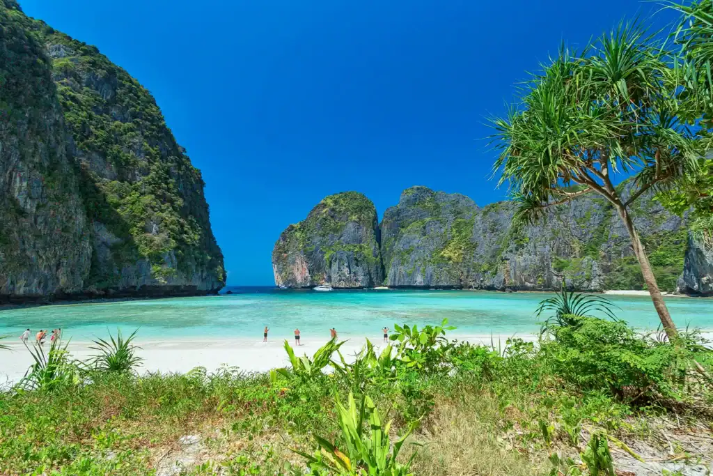 Maya Bay at Phi Phi Leh Island